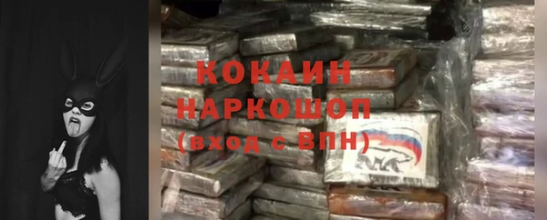 гидра Мегион