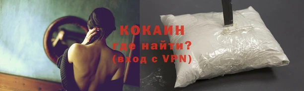 гидропоника Дмитров