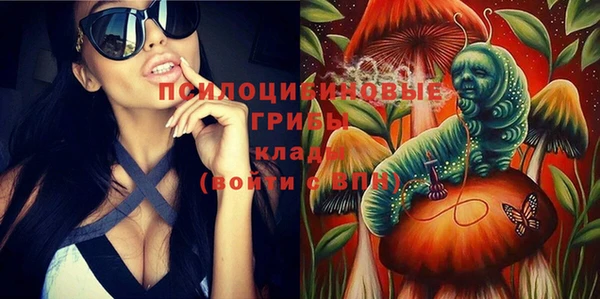 ПСИЛОЦИБИНОВЫЕ ГРИБЫ Яранск