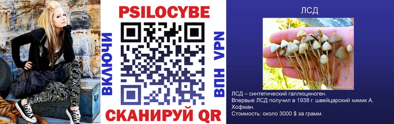 цена наркотик  Дудинка  Галлюциногенные грибы Psilocybine cubensis 